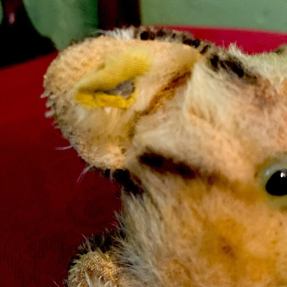 Rare vintage Steiff Plush - Brown and Tan green eyes